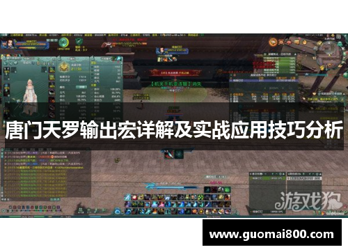 唐门天罗输出宏详解及实战应用技巧分析