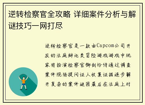 逆转检察官全攻略 详细案件分析与解谜技巧一网打尽